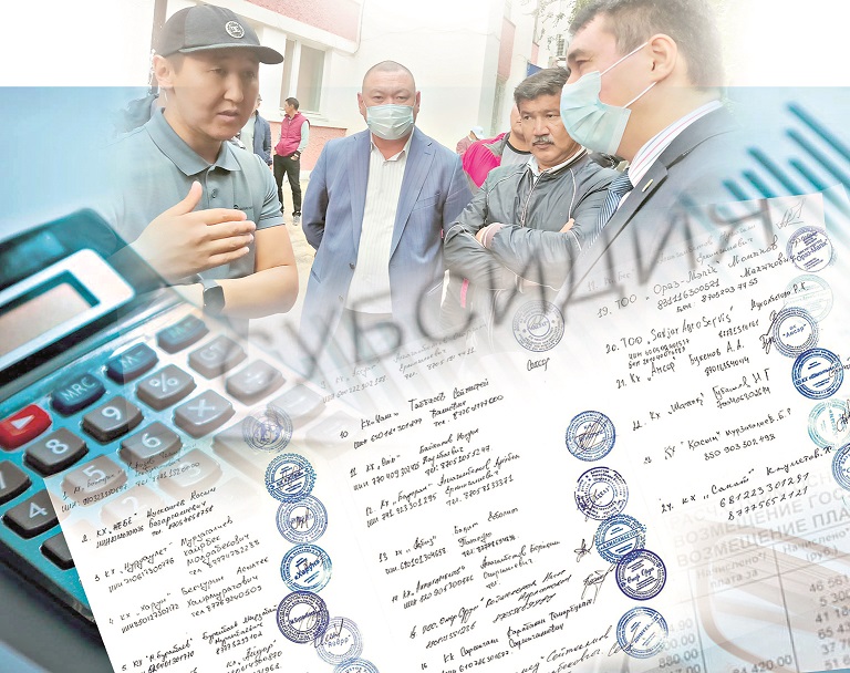 سارىلا كۇتكەن سۋبسيديا قاعاز جۇزىندە قالا بەرە مە؟