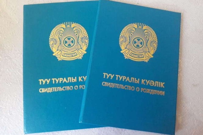 بالا تۋعاندا بەرىلەتىن تولەمدەردى رەسىمدەۋ جەڭىلدەدى