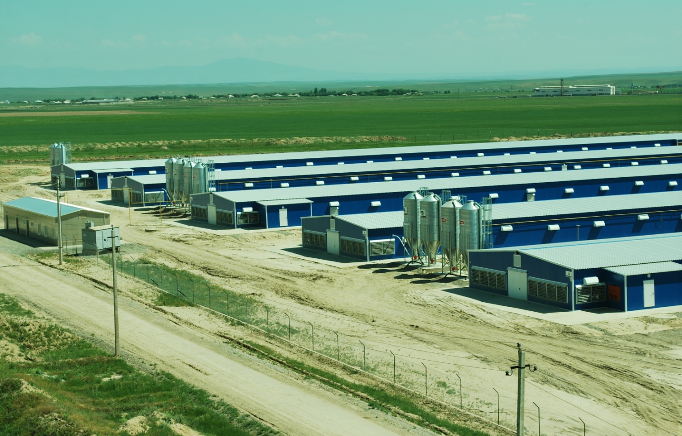 يندۋستريالاندىرۋ كارتاسىنا 17 جوبا ەنگىزگەن شىمكەنتتە وڭ سەرپىن بايقالادى