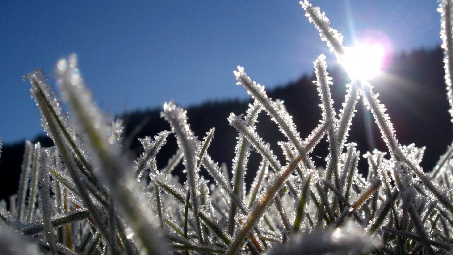 الداعى ءۇش كۇندە اۋا رايى قانداي بولادى؟