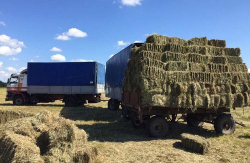 اۋىل شارۋاشىلىعىنا  ءمان بەرىلە باستادى