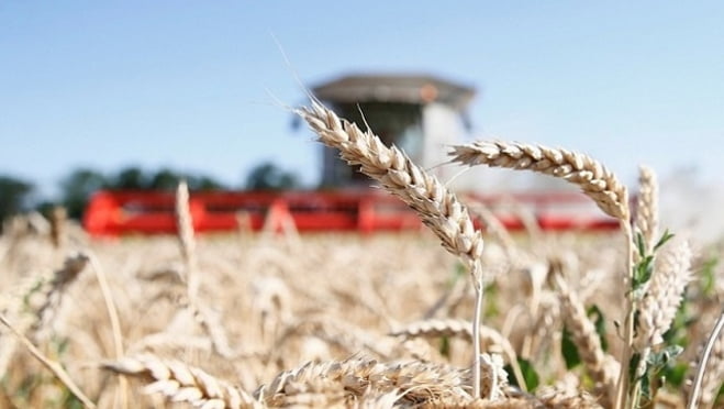 اگروسەكتوردىڭ جارتىسىنان كوبىن قارجىلاندىرادى