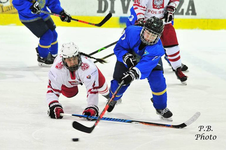 شايبالى حوككەيدەن ىرىكتەۋ ءتۋرنيرى توررە-پەلليچەدە وتەدى