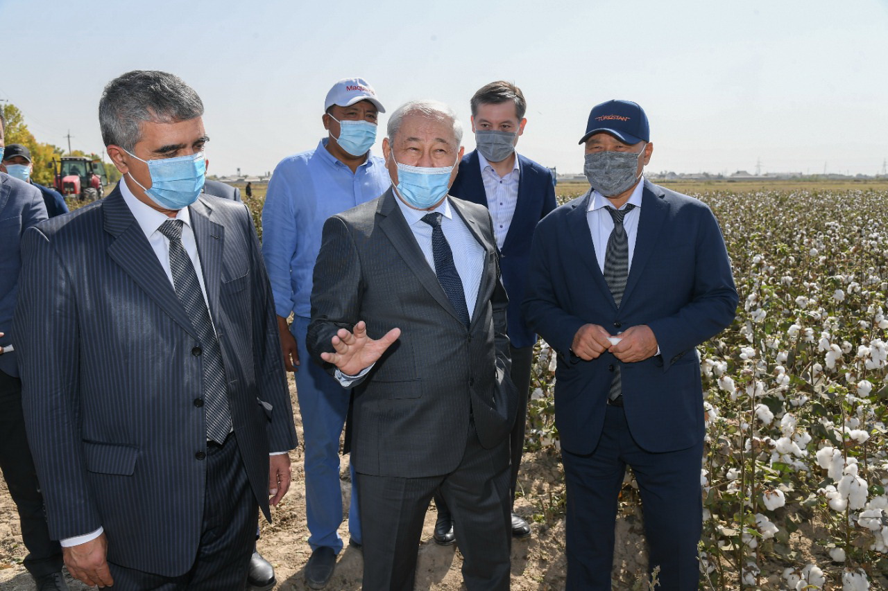 بىرلىك پەن تاتۋلىق – بەرەكە باستاۋى