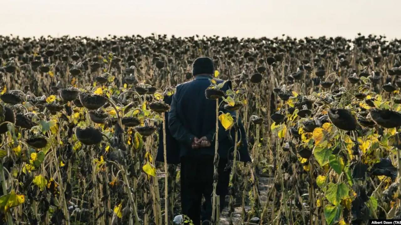 وزبەكستان رەسەيدىڭ ەڭ قۇنارلى جەرىن جالعا الماق