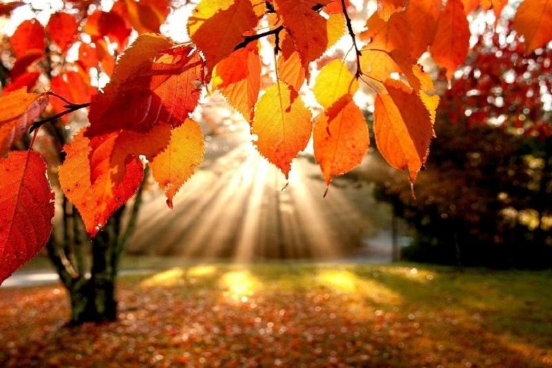 الداعى دەمالىس كۇندەرى كۇن كۇرت جىلىنادى