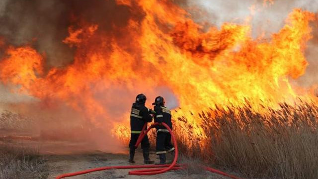 كاسپي تەڭىزىنىڭ جاعالاۋىنداعى قامىس ءورتىن ءسوندىرۋ قايتا جالعاستى