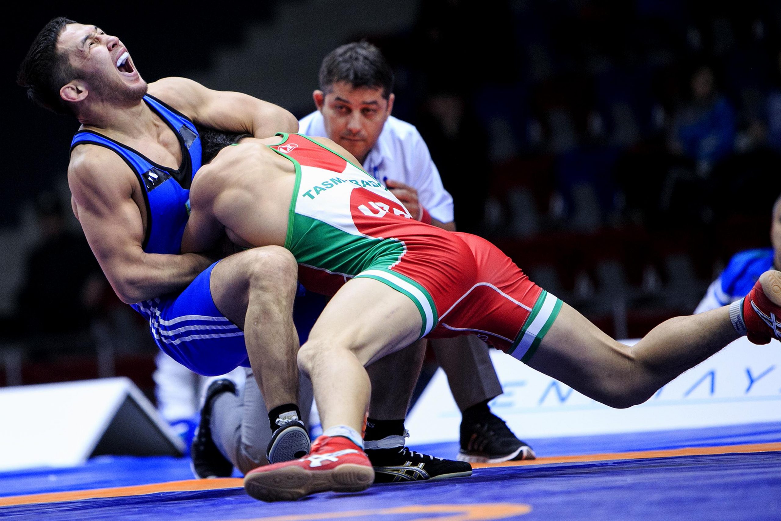 سكانديناۆيا تۇبەگىندەگى سايىس ەلىمىزدەگى كۇرەس تۇرلەرىنىڭ دەڭگەيىن ايقىندادى