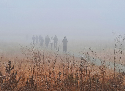 قالالاردى قالىڭ تۇمان باسىپ تۇر