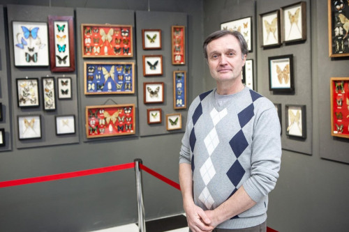 كوبەلەكتەر كورمەسى