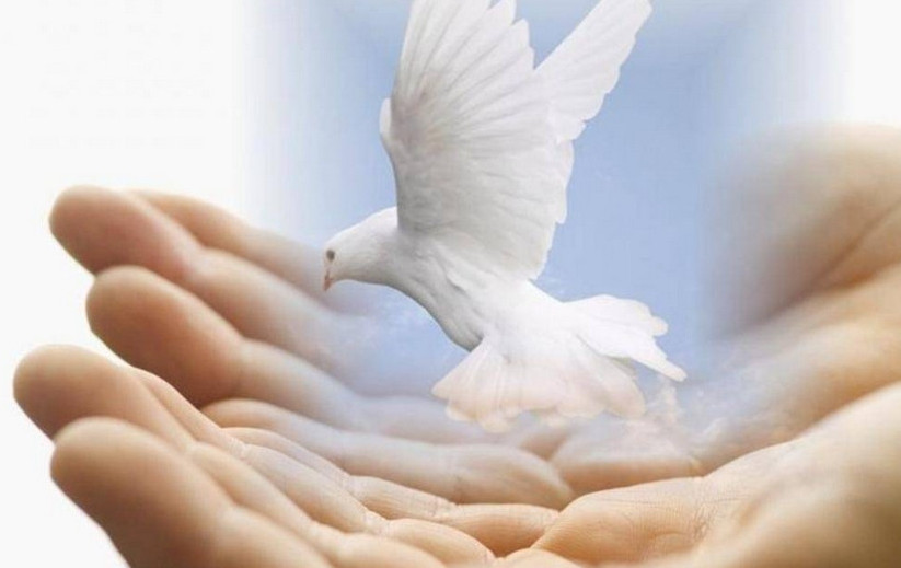 الەمدى رۋحاني قۇندىلىق قۇتقارادى