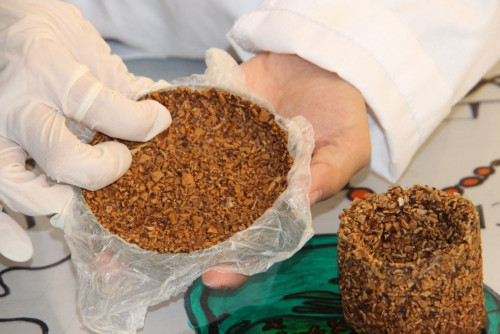 جاڭعاق قابىعىنان ىدىس جاساپ شىعاردى