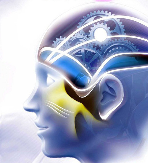 تسيفرلاندىرۋ – ساپالى ءومىردىڭ كەپىلى