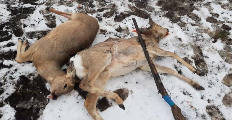 ەلىك اۋلاعان اقتوبەلىك ازامات ۇستالدى