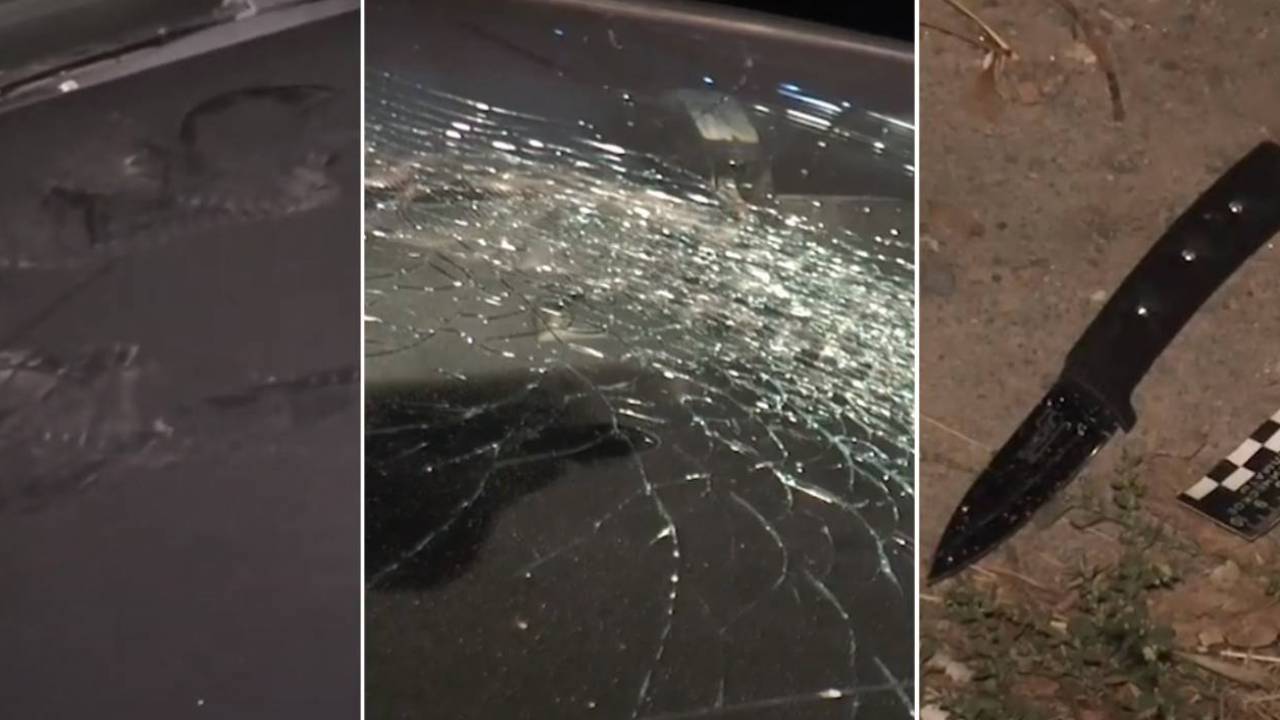 الماتىدا جاپپاي توبەلەس بولدى