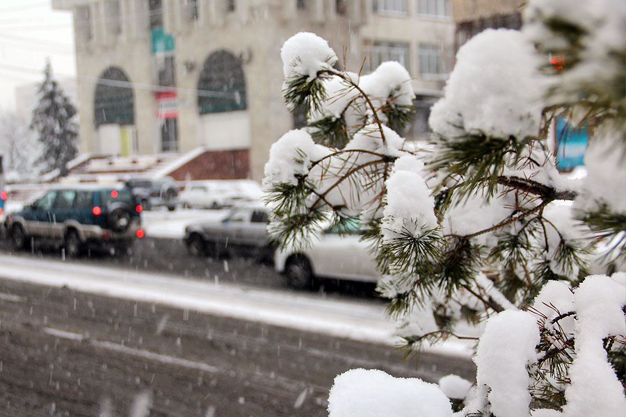 قاراشادا اۋا رايى قانداي بولادى