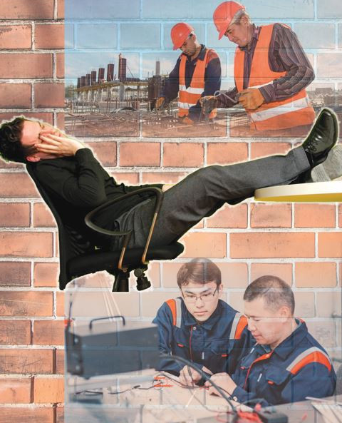 ماسىلعا مال بىتپەيدى