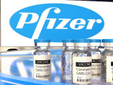 تۇركىستان وبلىسىنا Pfizer ۆاكتسيناسىنىڭ العاشقى 29 مىڭ دوزاسى جەتكىزىلدى