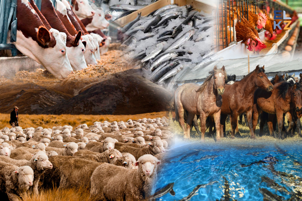 عىلىمي جەتىستىكتەر –  تاۋەلسىزدىك جەمىسى