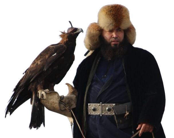 قىران قۇستار سايىسى