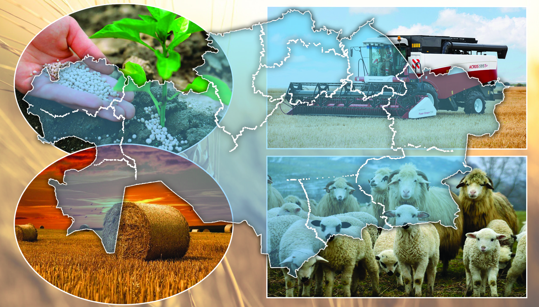 شارۋالار ايتتى بازىنا...