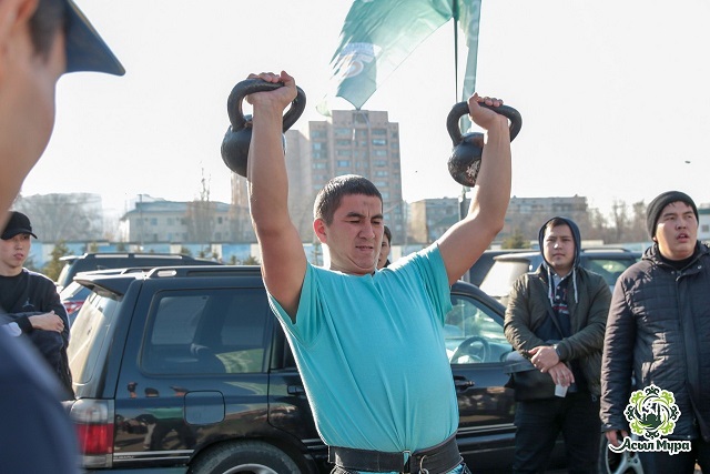 سپارتاكيادادا كۇش سىناستى