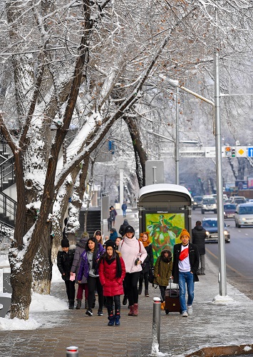 الماتىلىقتاردى قانداي ماسەلە الاڭداتادى؟