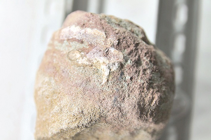 ميلليون جىل ساقتالعان سۇيەك