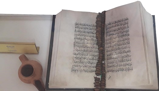  ۇلى دالا مۇرالارى