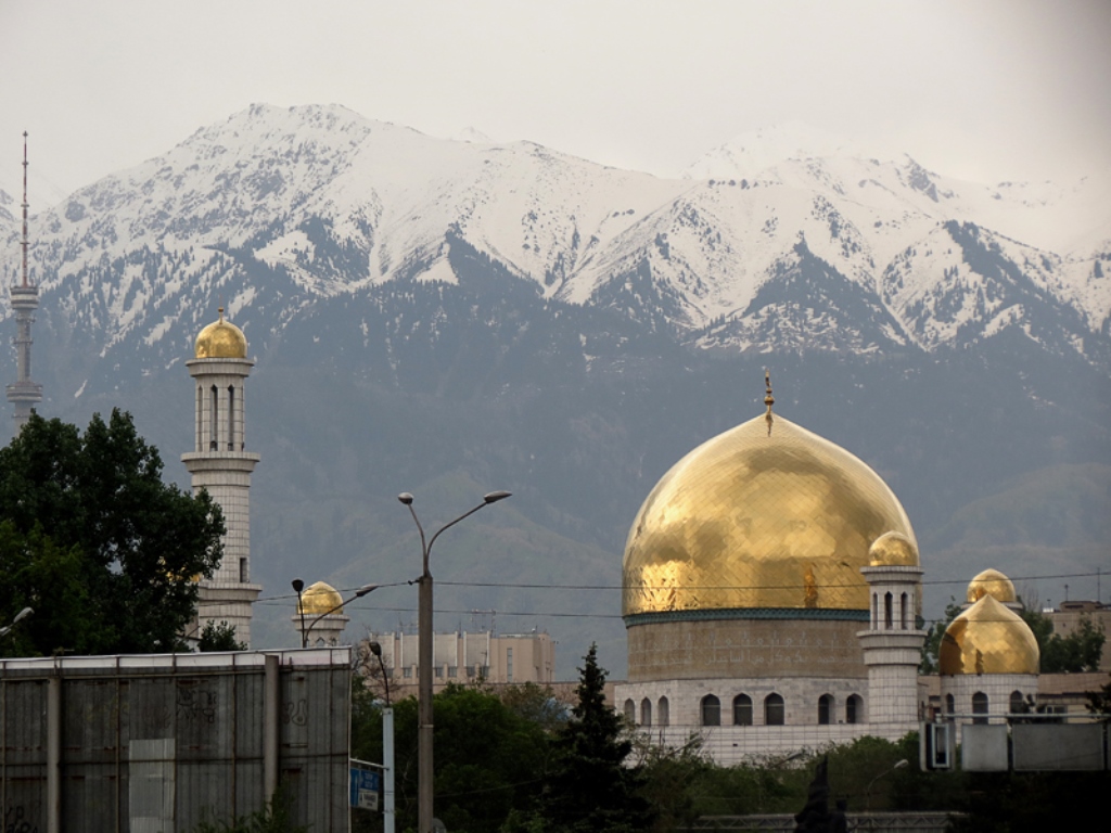 يمامداردىڭ بىلىكتىلىگىن ارتتىردى