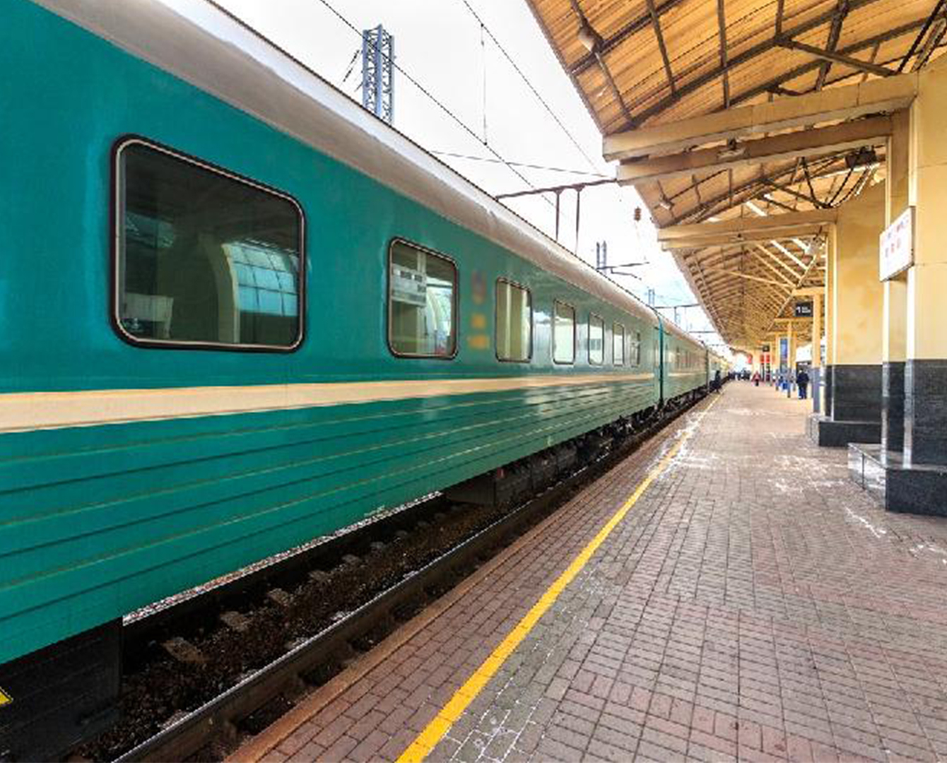 ەلوردا ۆوكزالىندا جولسەرىك توكقا ءتۇسىپ مەرت بولدى