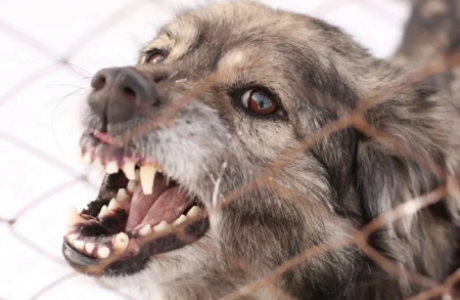 اتىراۋدا قاڭعىباس يتتەر 13 جاسار قىزدى تالاپ تاستاعان