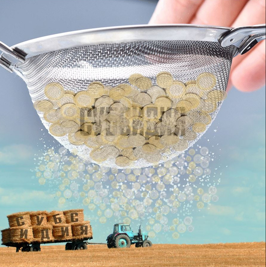 سۇزگىدەن وتكەن سۋبسيديا