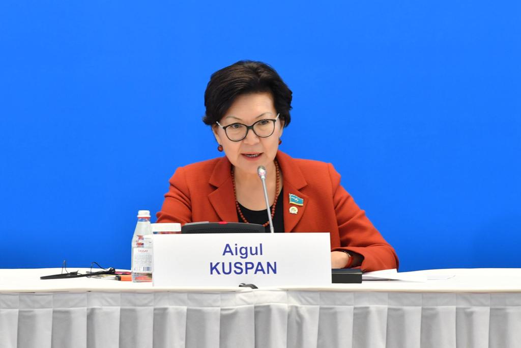 ەلباسى ساياساتىنىڭ ارقاسىندا ەلىمىزدە ەتنوسارالىق قاقتىعىستار بولمادى