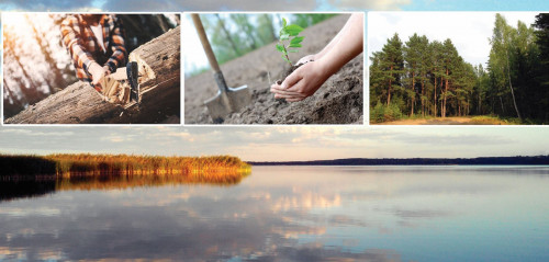 وتالعان ورمانداردىڭ ورنى تولا ما؟