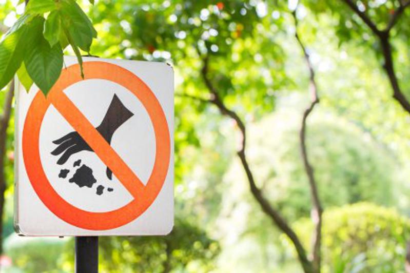 ورنىقتى دامۋ ماقساتتارىنا جەتۋ جولدارى