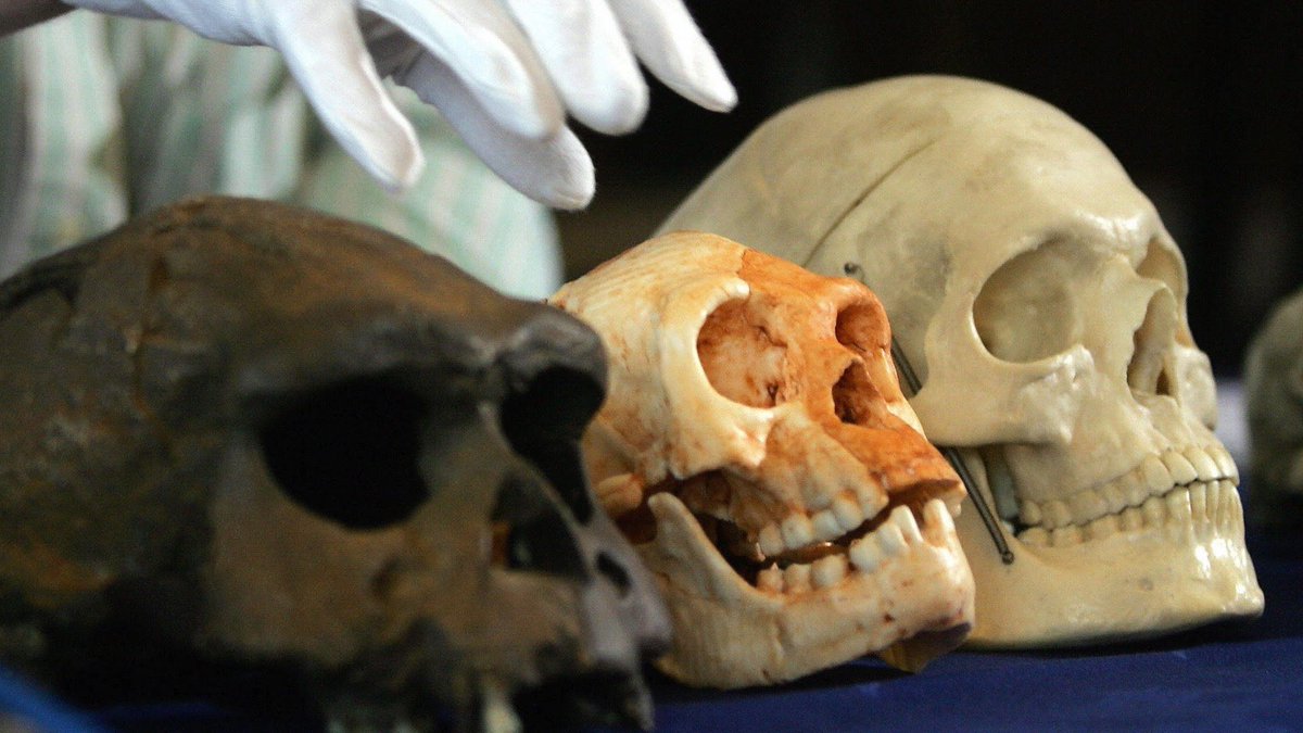 ECO Award 2021 مەدالىن تابىس ەتتى