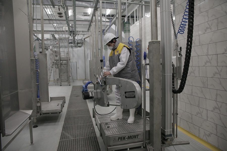 ەكسپورت ونىمدەرىن شىعارادى