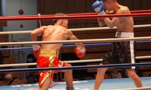 18 جاسار بوكسشى جىلدىڭ سوڭعى نوكاۋتىن تىركەدى