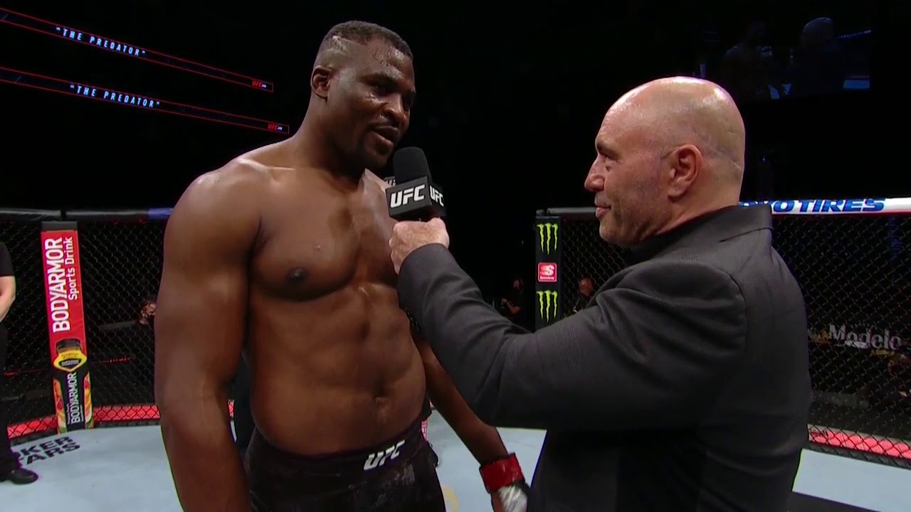 فرەنسيس نگاننۋ: تايسون – ۇزدىك بوكسشى