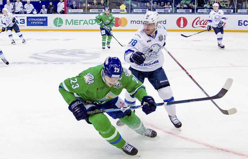 «سالاۆاتتىڭ» «بارىستان» كۇشى باسىم