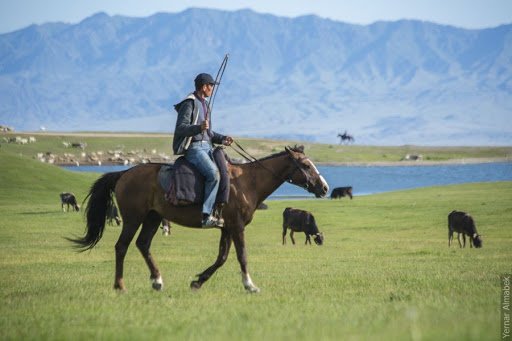 مالشى مازاسىز, قاسقىر جازاسىز