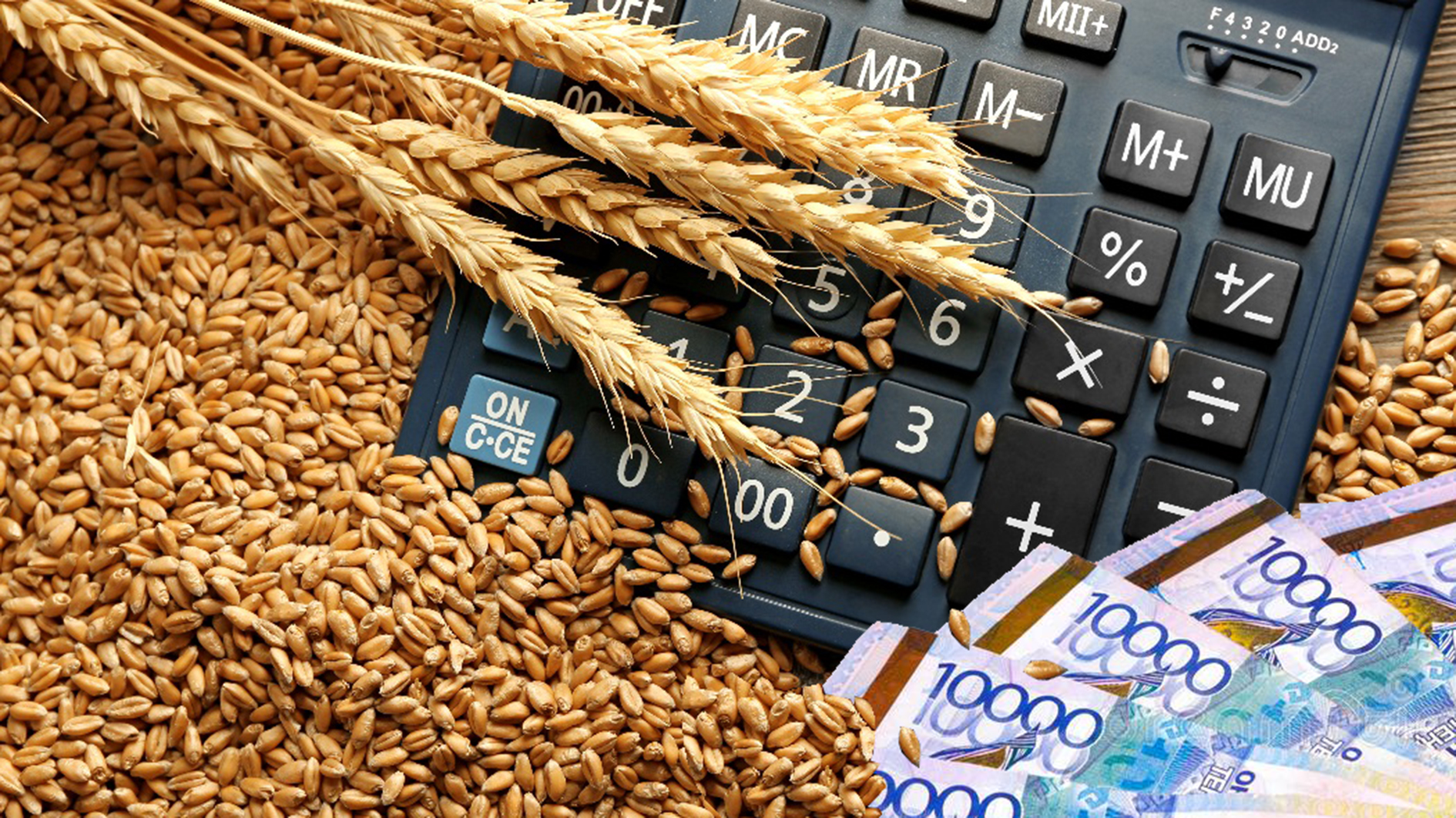 سۋبسيديا: بىرەۋگە بار, بىرەۋگە زار