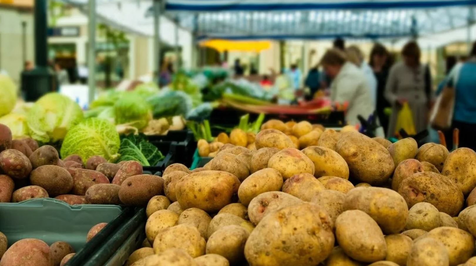 وڭىردە باعا بايلاۋعا كونبەي تۇر