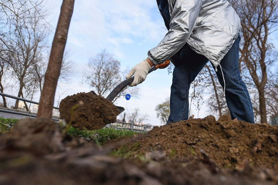 ور قازۋ وڭتايلى شەشىم بە؟!