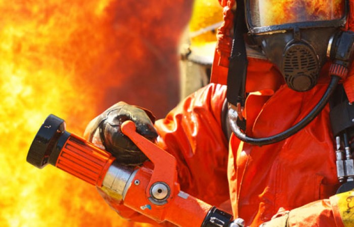 تجد: قوسالقى بولشەكتەرگە قارجى بولىنە مە؟