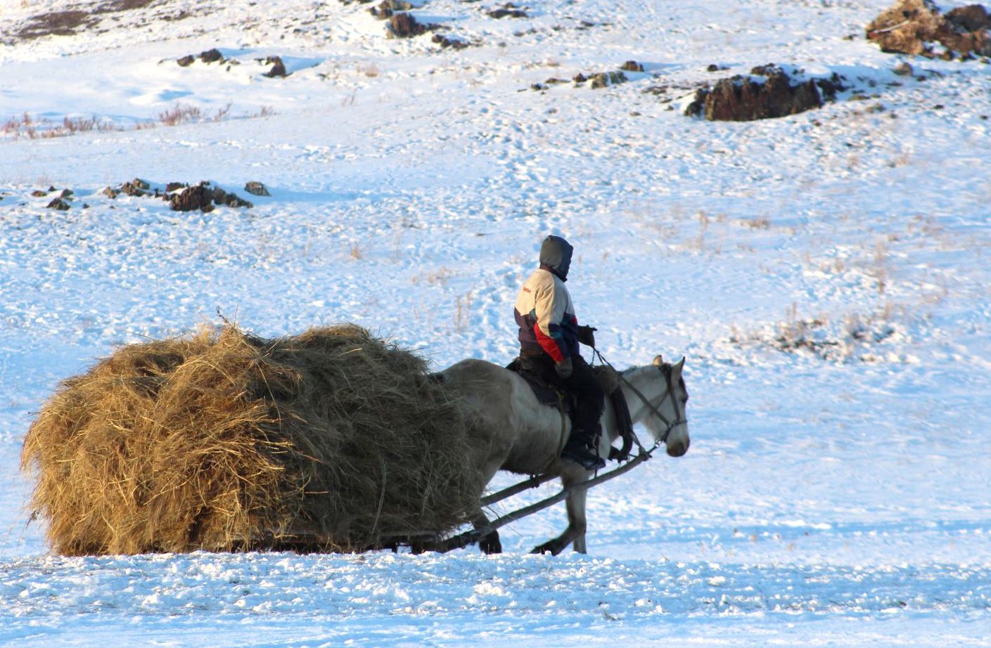 اۋىل شارۋاشىلىعىنا جاڭا كوزقاراس قاجەت