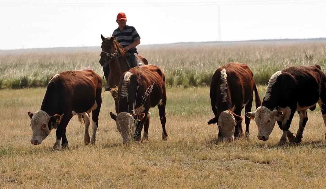 جايىلىمى, جەرى جوق, جۇرتىڭ قايتىپ كۇن كورەر؟!
