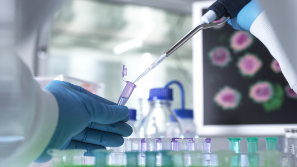 ۇزدىك عالىمدار ماراپاتتالدى