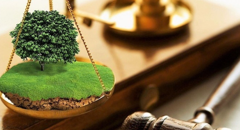 جەتەگە جەتپەگەن جەر داۋى